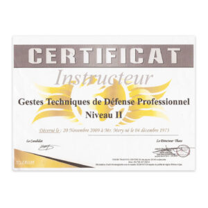 Certificat instructeur Gestes Techniques de Défense Professionnel niveau 2 - Fabrice Mery - Silat Defense Réunion