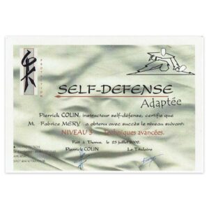 Certificat niveau 3 Self-Defense Fabrice Mery - Silat Defense Réunion